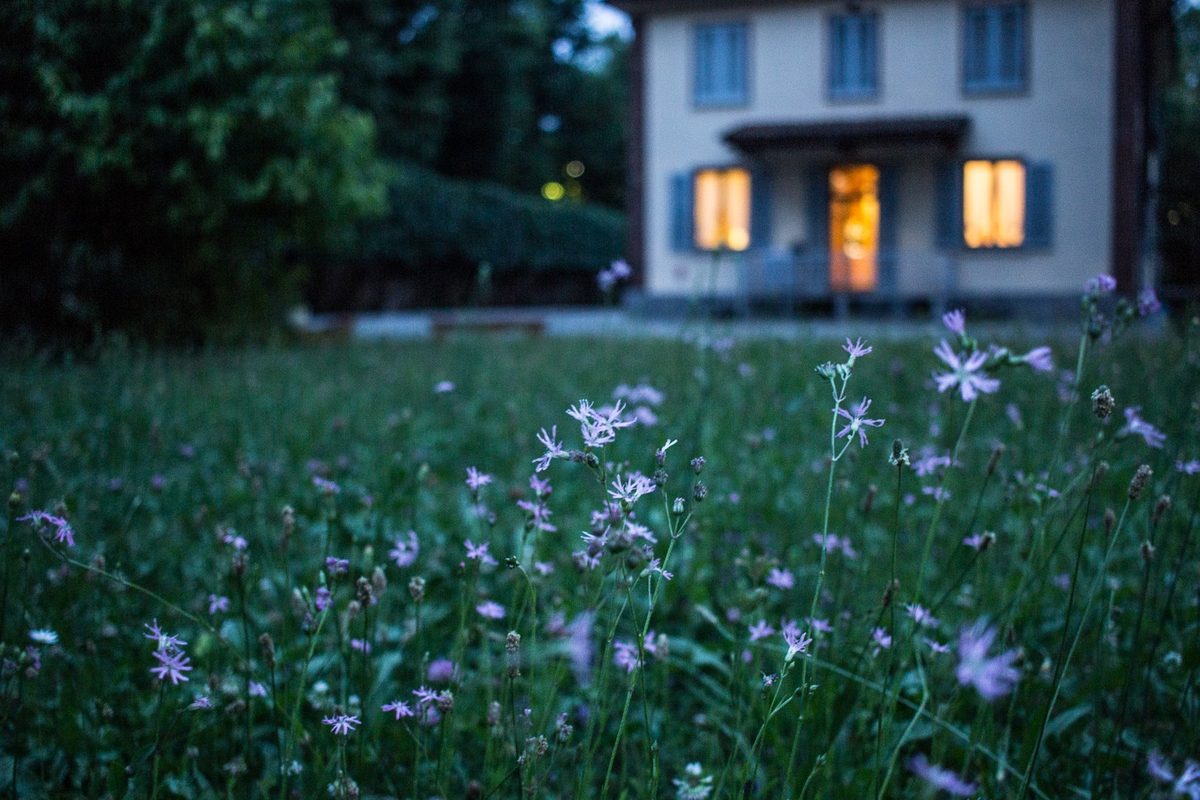 Open landscape with a house at dusk — work that crosses borders.